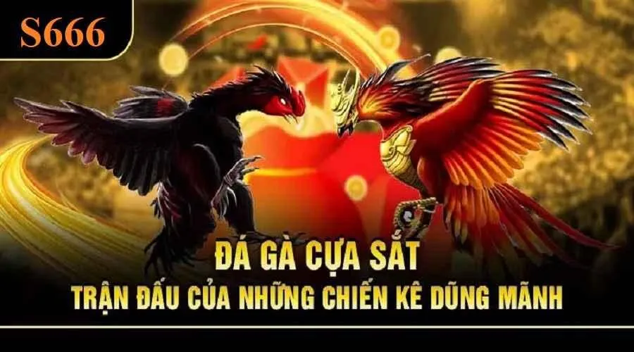 Chơi đá gà cựa sắt đa dạng kèo cược và thưởng lớn